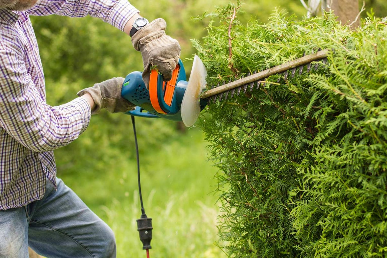 Tarifs d'un jardinier à domicile : coûts pour l'entretien de jardin